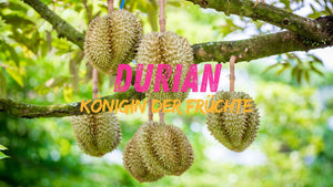 Mong Thong Durian: Ein Erlebnis der besonderen Art - Yak Thai